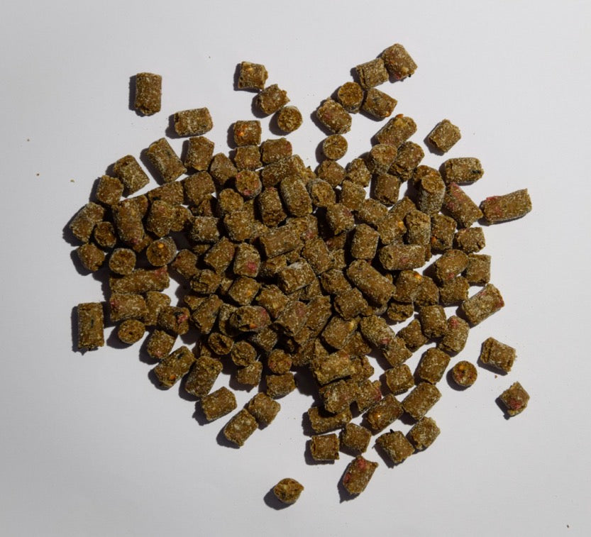 Boilieexpress Sweet FERMENTED Pellets