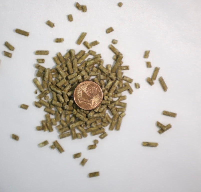 Boilieexpress Ferment Micro Pellets