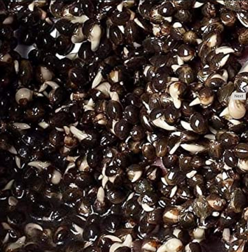 Baitex Hanf Gekocht 800g