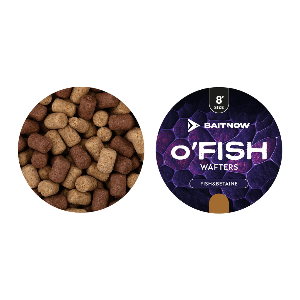 Baitnow Wafters O’Fish Fish Betaine 8mm