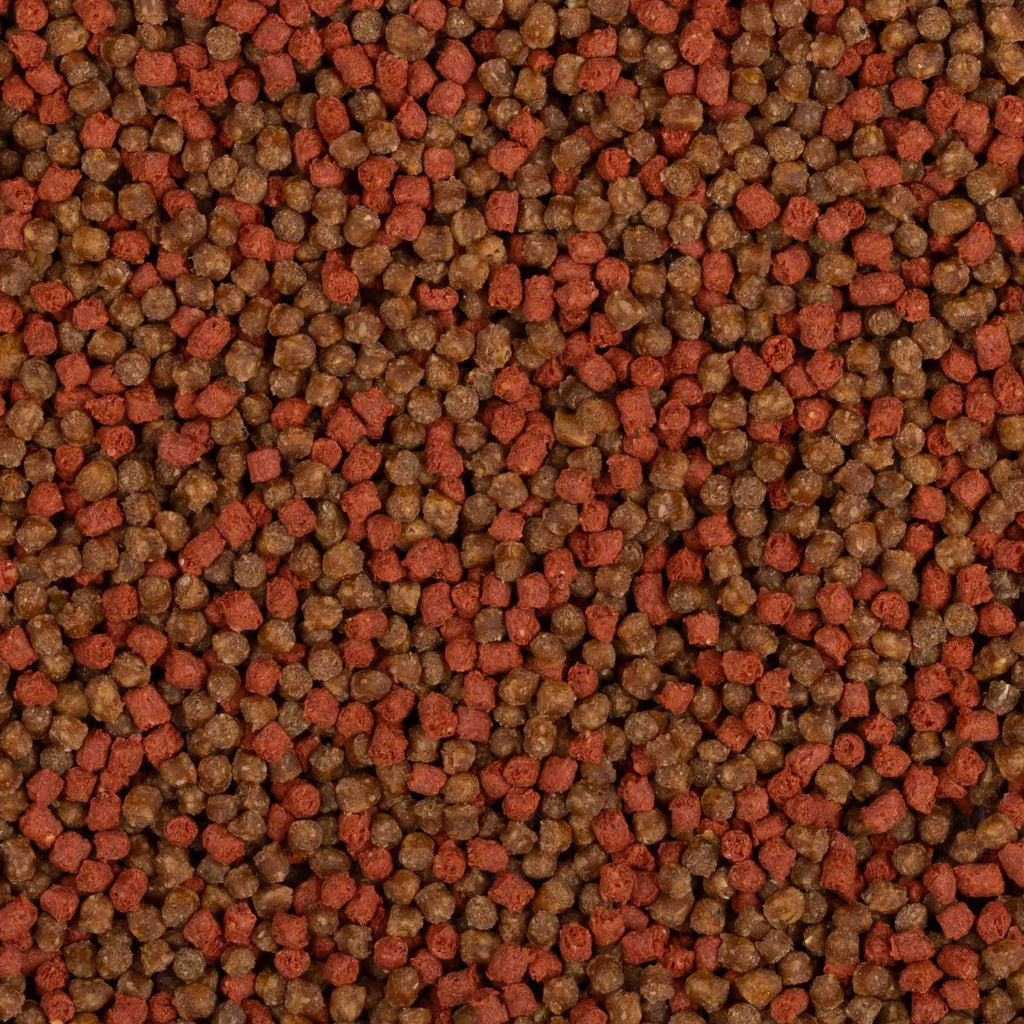 Baitnow Pellet Method Feeder Pinky Boy 2mm 800g