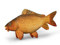 Delphin Carpy Plüschkarpfen