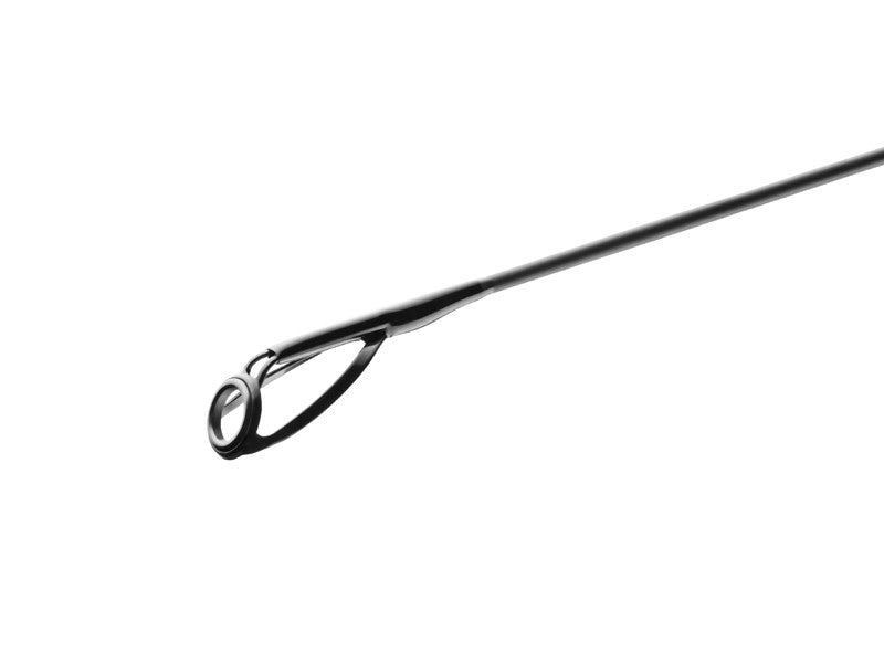Delphin Castix