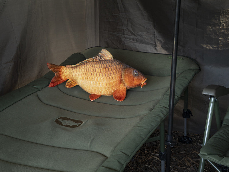 Delphin Carpy Plüschkarpfen