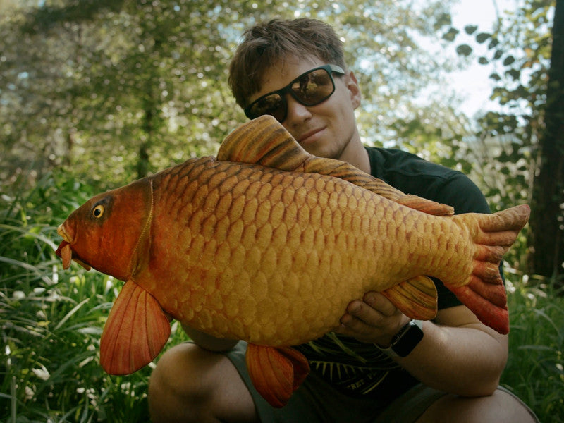 Delphin Carpy Plüschkarpfen