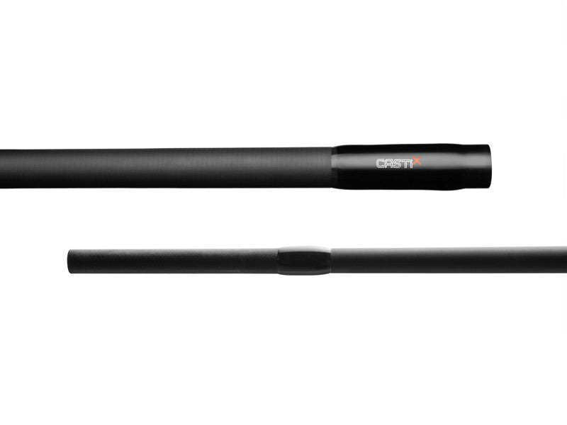 Delphin Castix