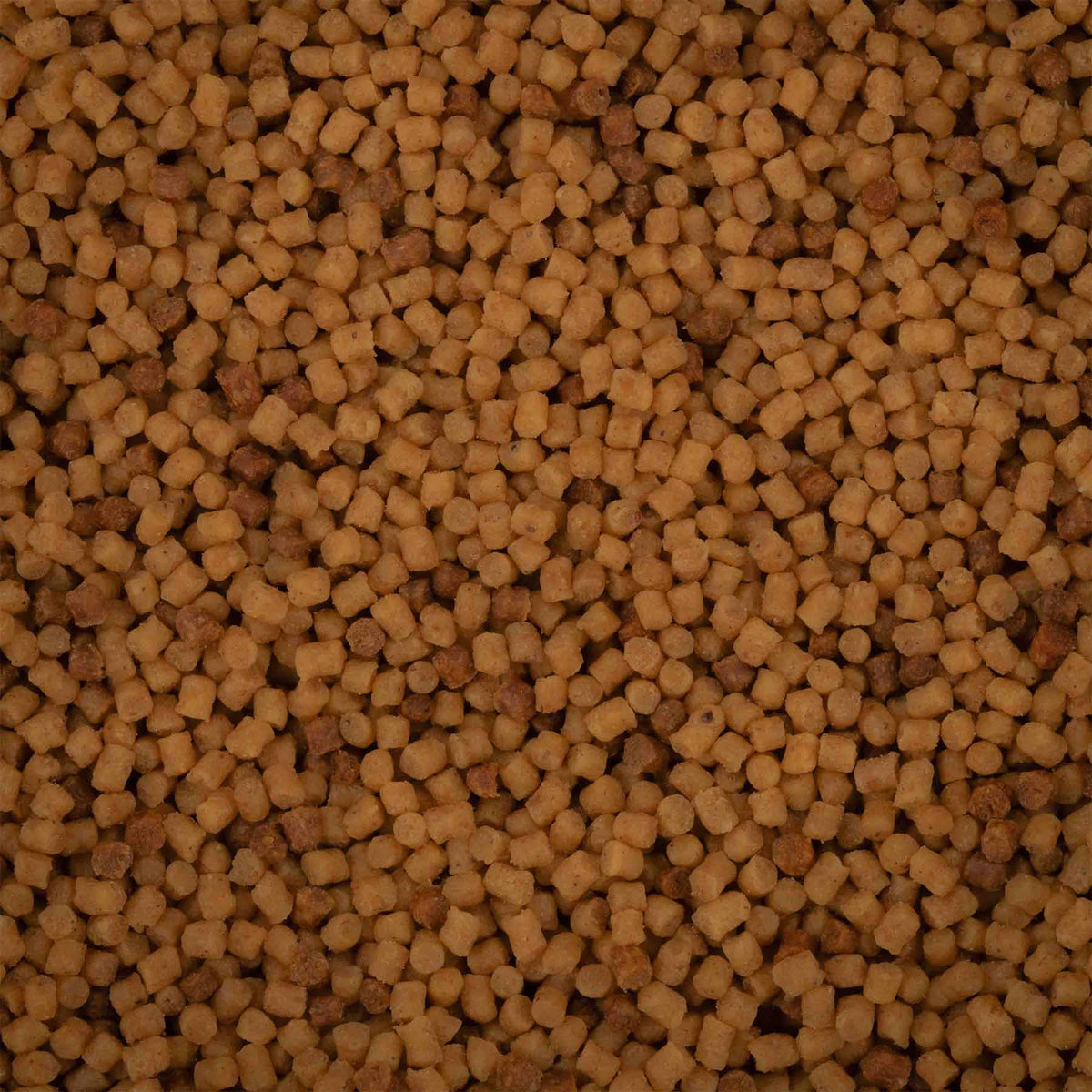 Baitnow Method Feeder Original Coarse 2mm 800g