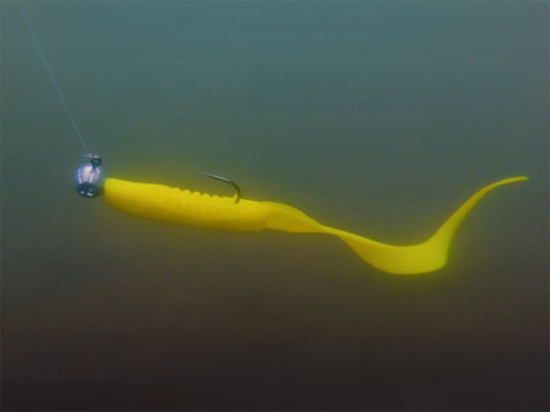 Jigkopf mit dem Halter Delphin TYRE