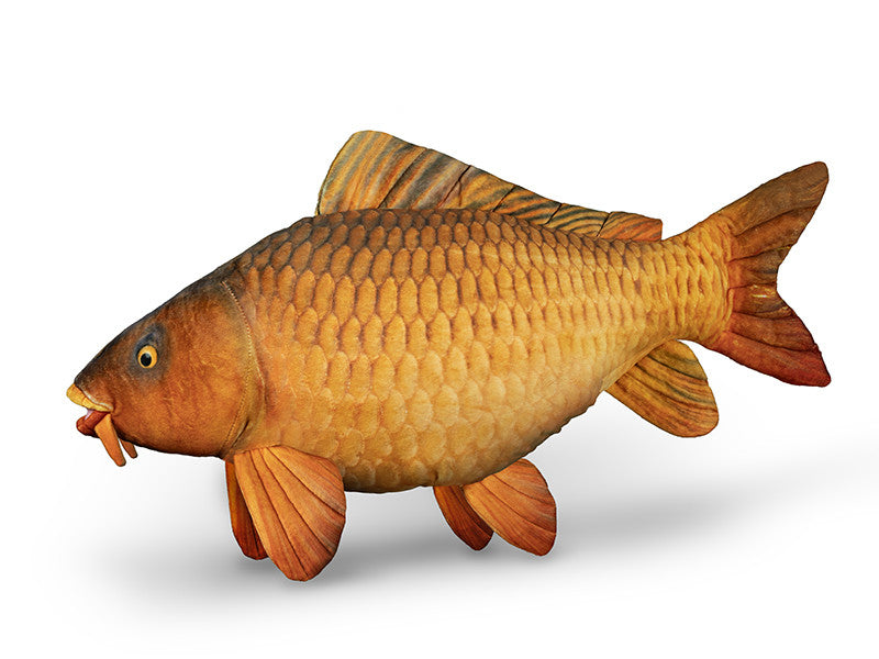 Delphin Carpy Plüschkarpfen